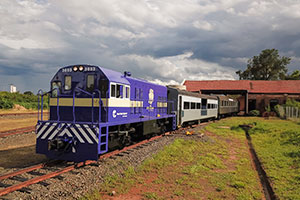 Café da Manhã + Passeio de Trem Ida e Volta + Almoço