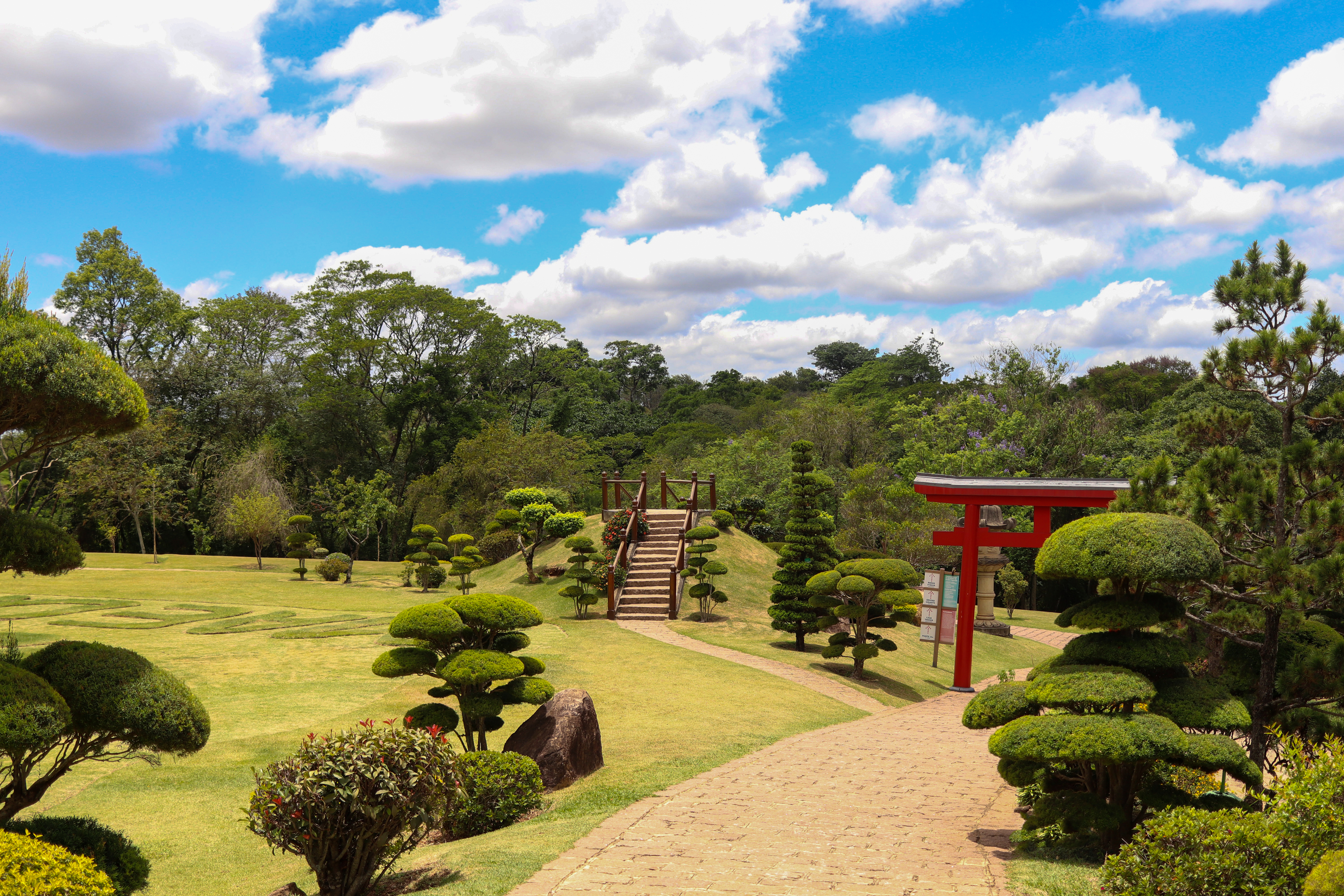 Passeio de Trem com Parque Maeda + Almoço